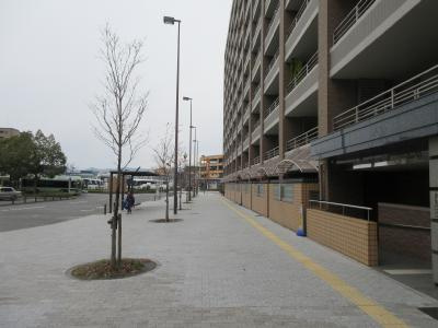 ファミール二条ステーションサイドの周辺|前面道路