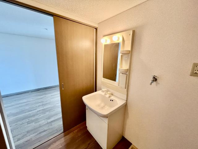 Ｈａｂｉｔａｔｉｏｎ白鳥（アビタシオンシラトリ）の洗面所|洗面