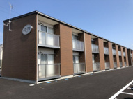 パシアンBの画像