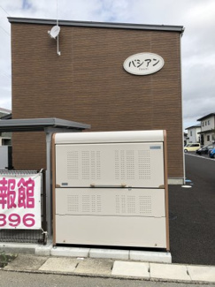 【その他】 | パシアンB