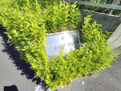 【庭】 | シェリ向山