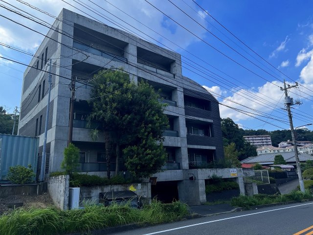 ティグレ131の画像