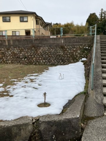 湊町土地の外観