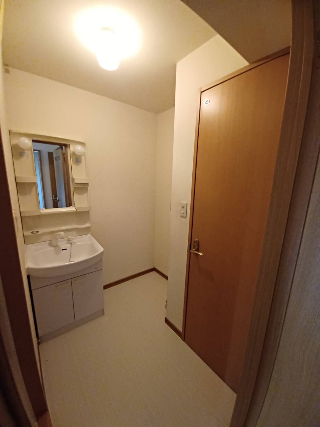 ヒーローマンション・セオの洗面所