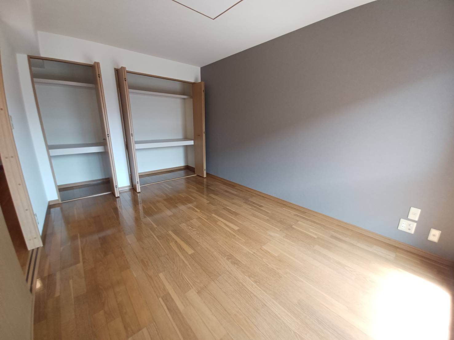 ヒーローマンション・セオの洋室