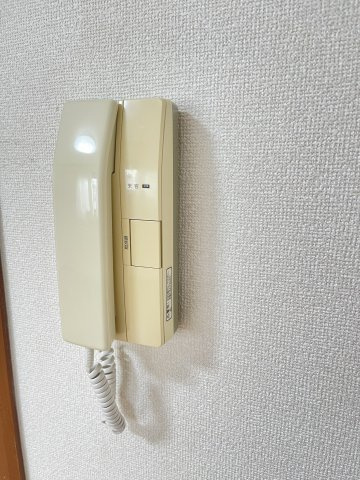 リンデンハイムのセキュリティ