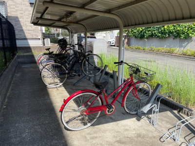 【その他】 | Campo Isola