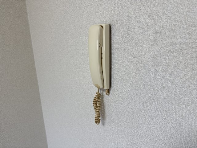 セントポーリアのセキュリティ