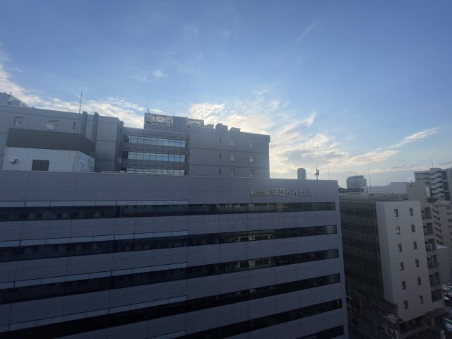 セレニテ新大阪グランデ　ミリューの展望