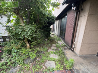 【庭】 | 新検見川13分　平日・土日も見学できます　南花園