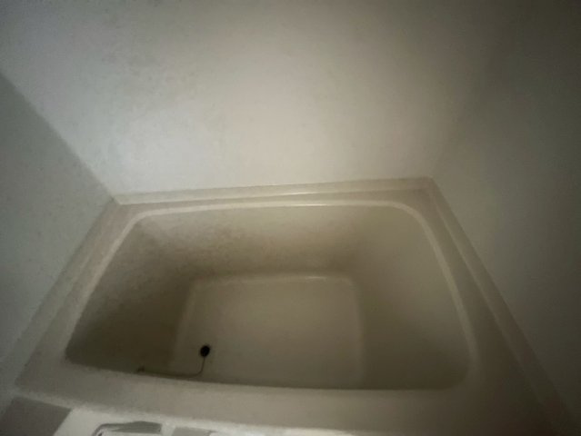 セレニテ本町グランデの浴室