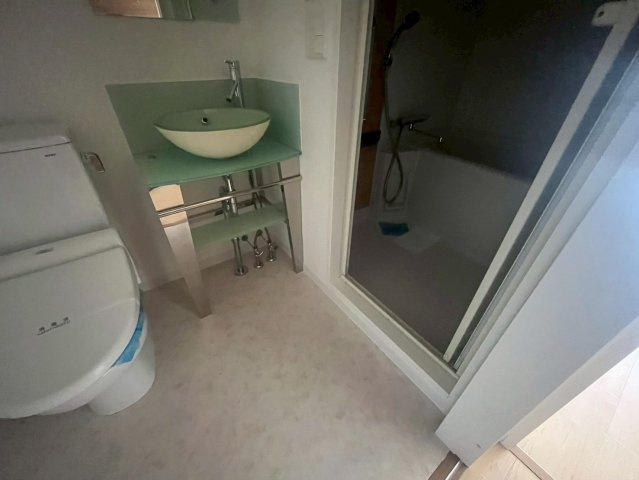 セレニテ本町グランデの洗面所