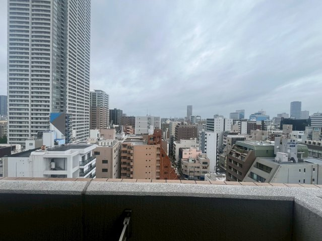 セレニテ本町グランデの展望