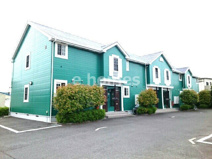 エヴァーグリーン　Ｂの画像