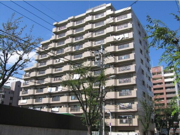 北淀宝ハイツカトレア