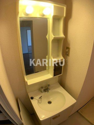 フラワーハイム鶴見の洗面所