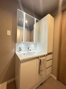 【独立洗面台】ライオンズマンション瑞穂公園 