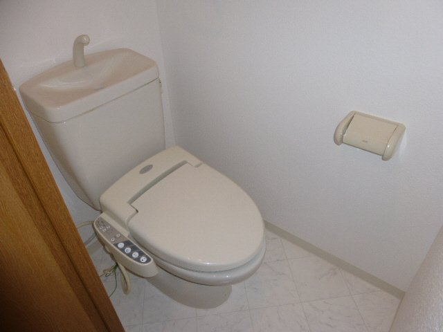 ベル・ドミール西二階町のトイレ