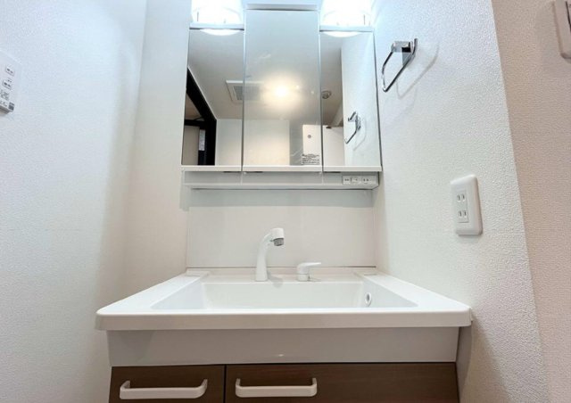 グリーンピア松戸の洗面所