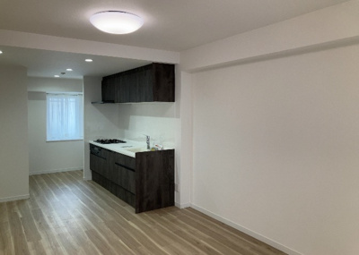 【居間・リビング】 | ベルドゥムール本厚木 | 直線タイプはLとDKを一直線に並べた形で対面キッチンのタイプです。一般的なのでよく見かけるかもしれません。直線タイプに似た直接アイランドタイプは、キッチンとダイニングの間に壁がない分広く感じられます。