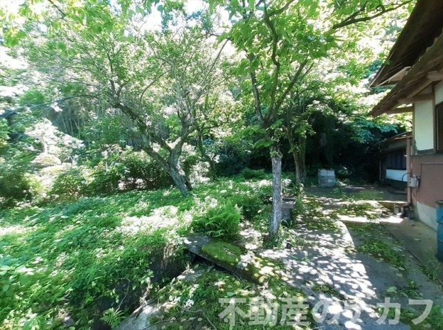 熊本市南区富合町平原の売地の外観