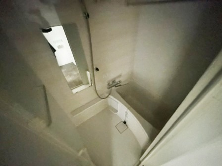 ルオーレ田端の浴室