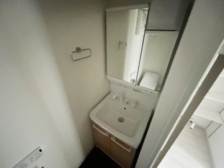 ルオーレ田端の洗面所