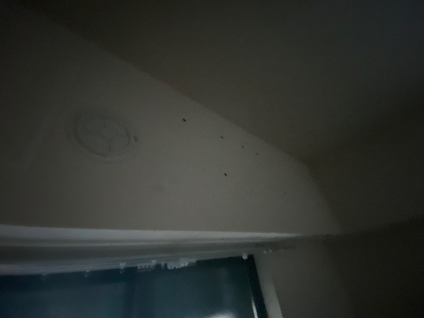 ライオンズ芦屋グランフォートの設備