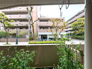 物件からの展望