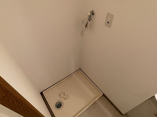 【洗面所】 | リバーサイドヒルズ | 洗面所です（同棟別室施工例）