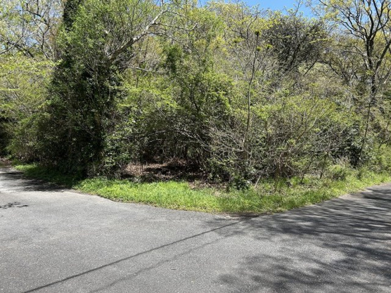 【外観】 | すいらん荘別荘地　売地