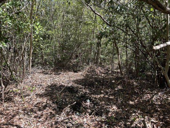 【外観】 | すいらん荘別荘地　売地