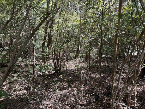 【外観】 | すいらん荘別荘地　売地