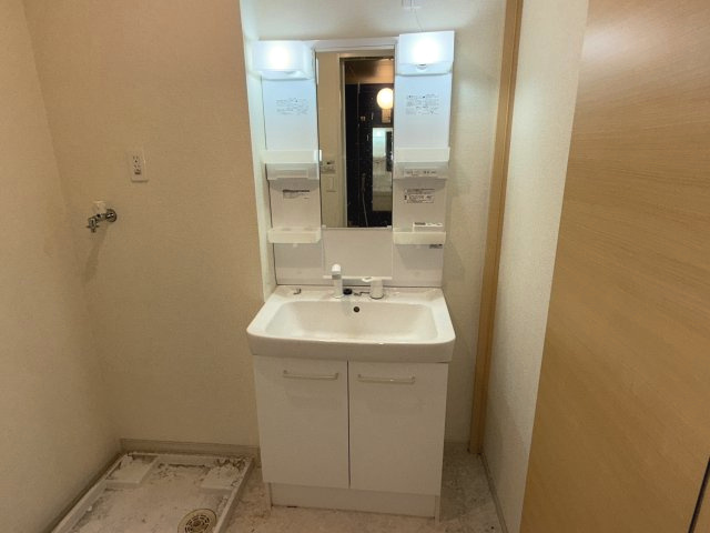 フィオーレ西庄Ｂの洗面所