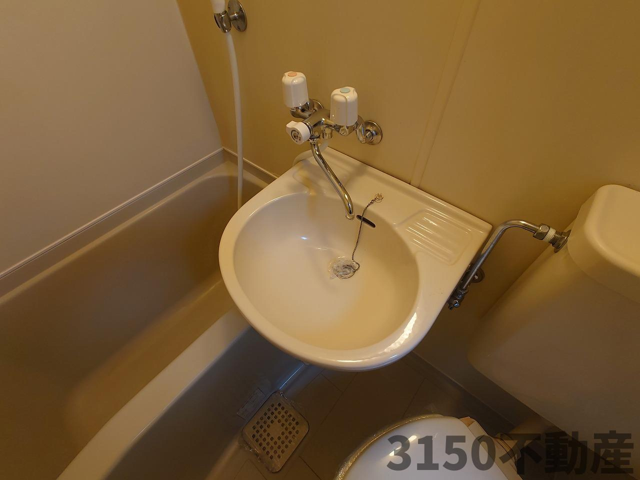 アルカディア北一色の洗面所