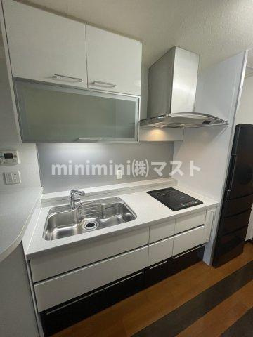 大阪市天王寺区上本町９丁目の賃貸マンションのキッチン|別号室参考写真