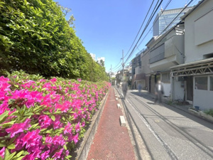【前面道路含む現地写真】 | 2025年4月21日撮影
