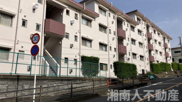 葉桜マンション