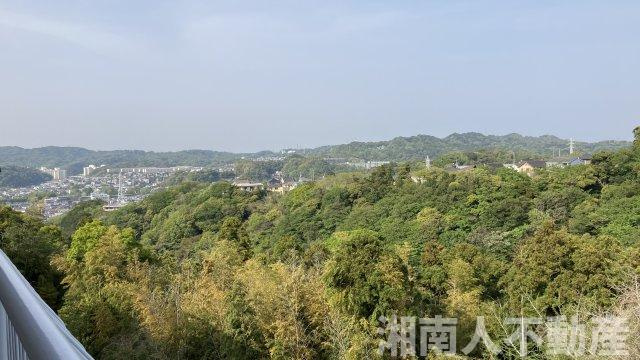 葉桜マンションの展望