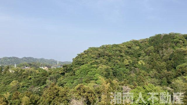 葉桜マンションの展望