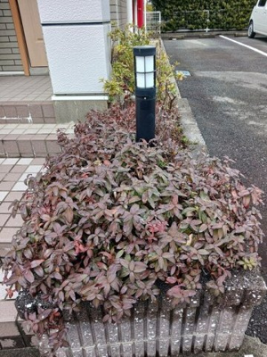 【セキュリティ】 | サンライズ