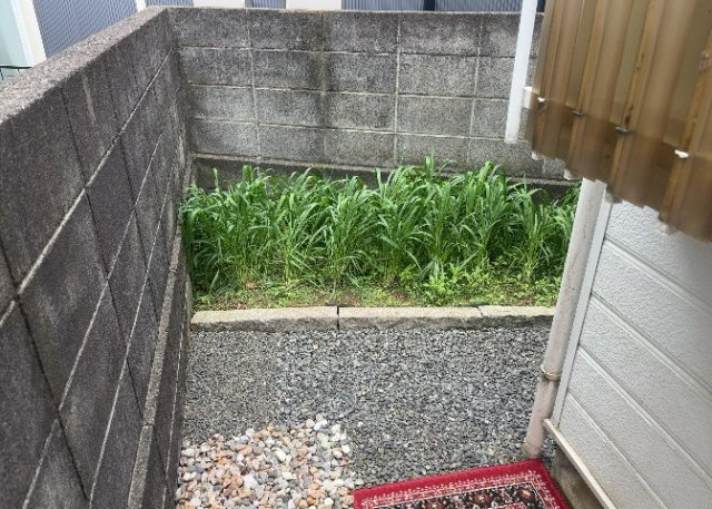 【外観】 | 人が暮らすうえで日光は大切な要素となります。日当たりの良さは譲れないポイントですね。併せて近くに大きな建築物の建築予定がないか、あるいはそれが可能な土地が近くにないか事前に確認することもお勧めします。