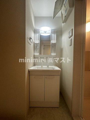 エクシード田中の洗面所