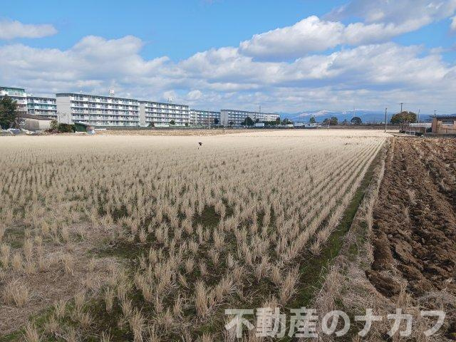 熊本市南区南高江４丁目の売地の周辺