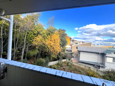 【展望】 | オプティ岡本山手