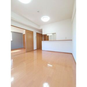 レージュ桔梗平の居間・リビング