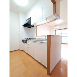 レージュ桔梗平のキッチン