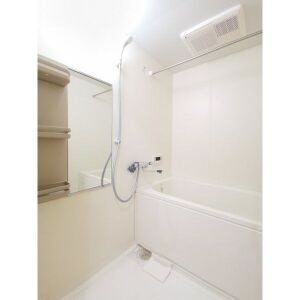 レージュ桔梗平の浴室