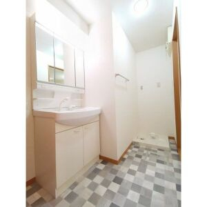 レージュ桔梗平の洗面所