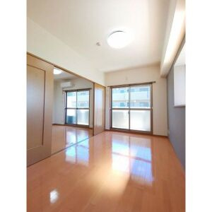 レージュ桔梗平の内装